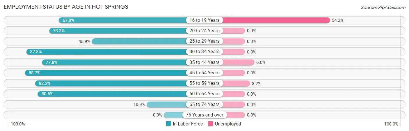Employment Status by Age in Hot Springs