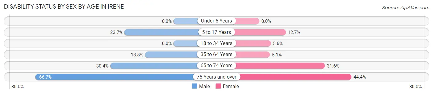 Disability Status by Sex by Age in Irene