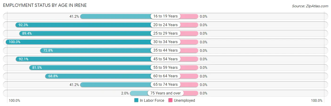Employment Status by Age in Irene