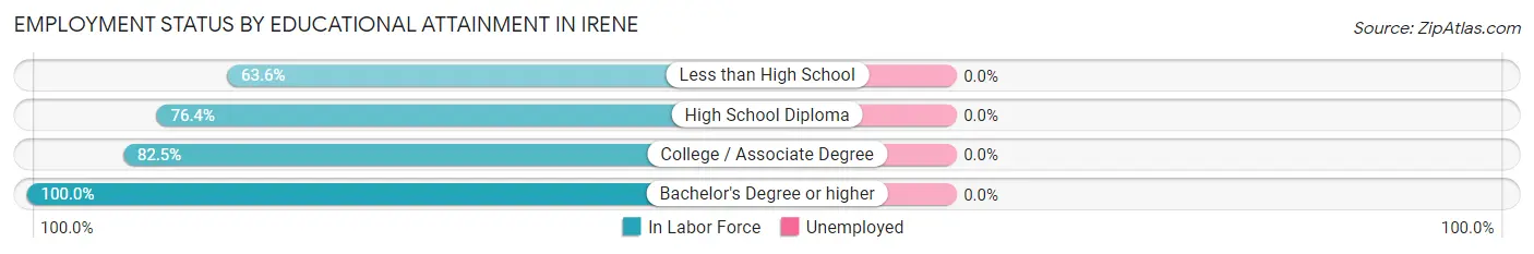 Employment Status by Educational Attainment in Irene