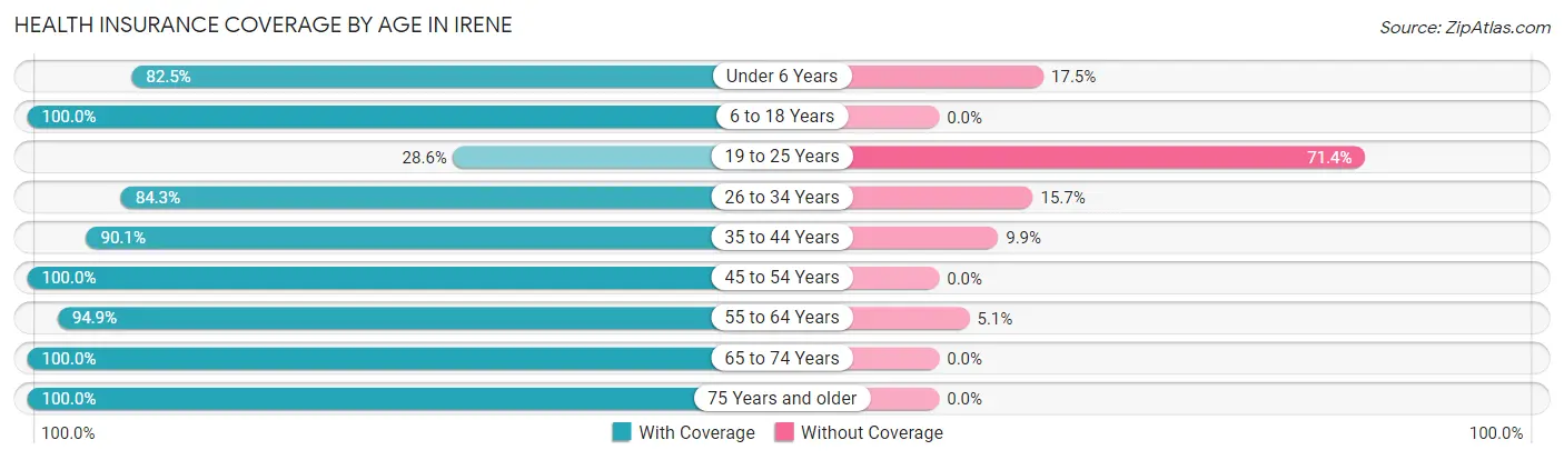 Health Insurance Coverage by Age in Irene
