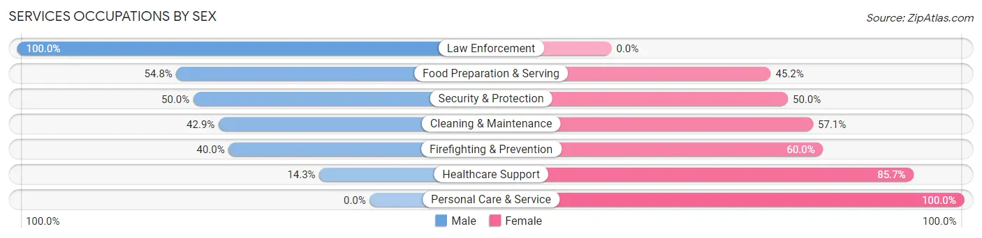 Services Occupations by Sex in Irene