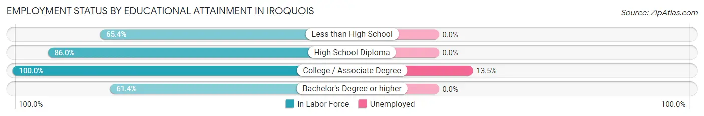 Employment Status by Educational Attainment in Iroquois