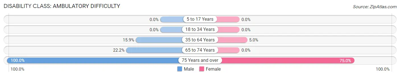 Disability in Isabel: <span>Ambulatory Difficulty</span>