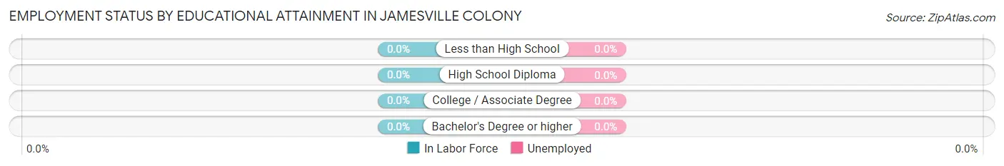 Employment Status by Educational Attainment in Jamesville Colony