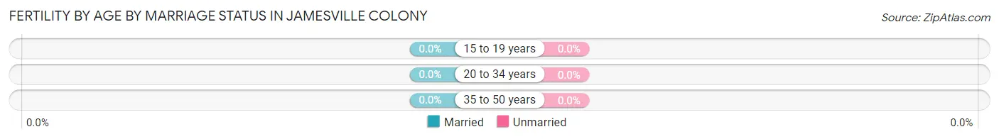 Female Fertility by Age by Marriage Status in Jamesville Colony