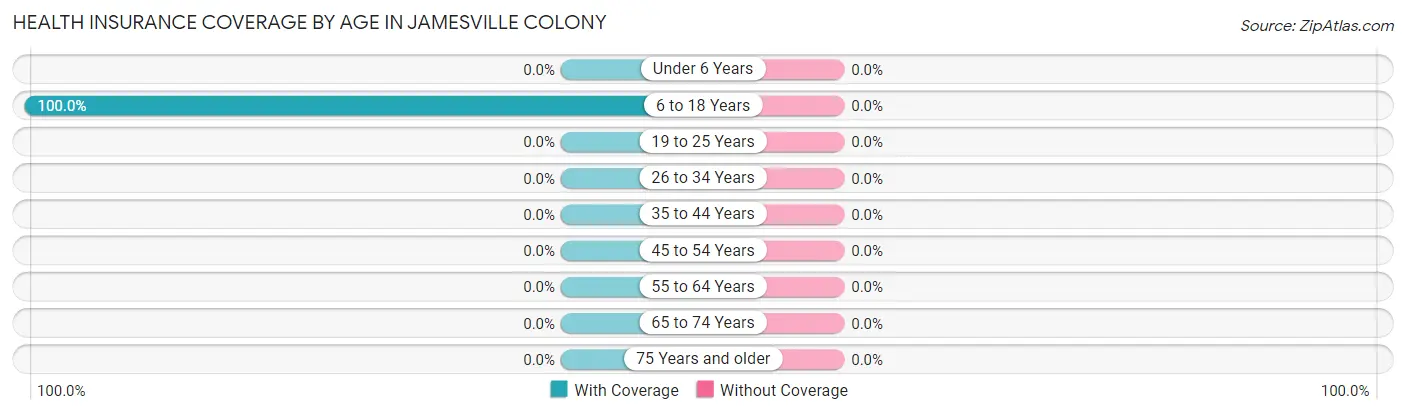Health Insurance Coverage by Age in Jamesville Colony