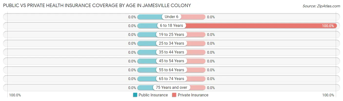 Public vs Private Health Insurance Coverage by Age in Jamesville Colony