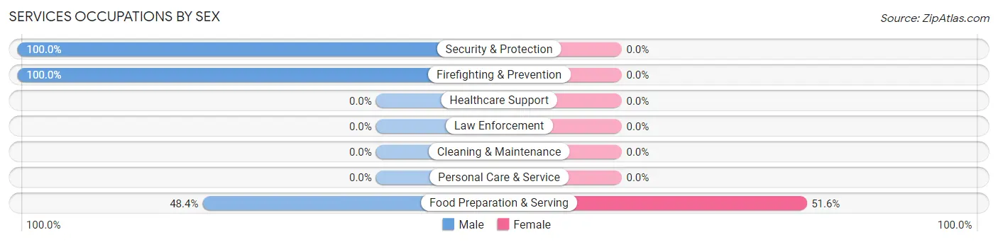 Services Occupations by Sex in Johnson Siding