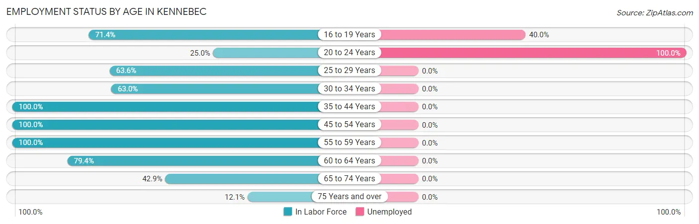 Employment Status by Age in Kennebec