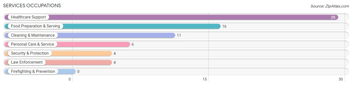 Services Occupations in Lake Norden