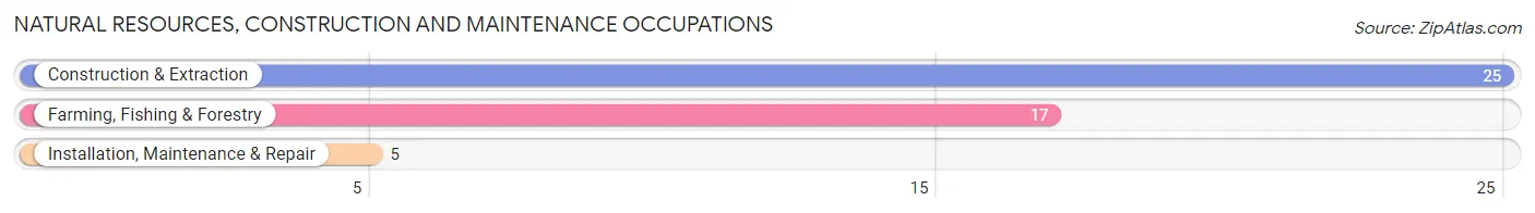 Natural Resources, Construction and Maintenance Occupations in Lake Preston