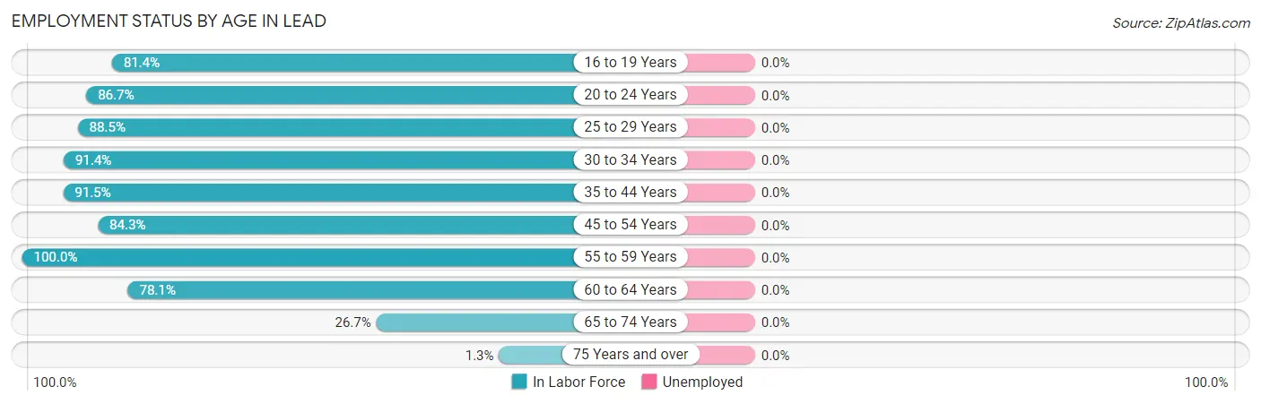 Employment Status by Age in Lead
