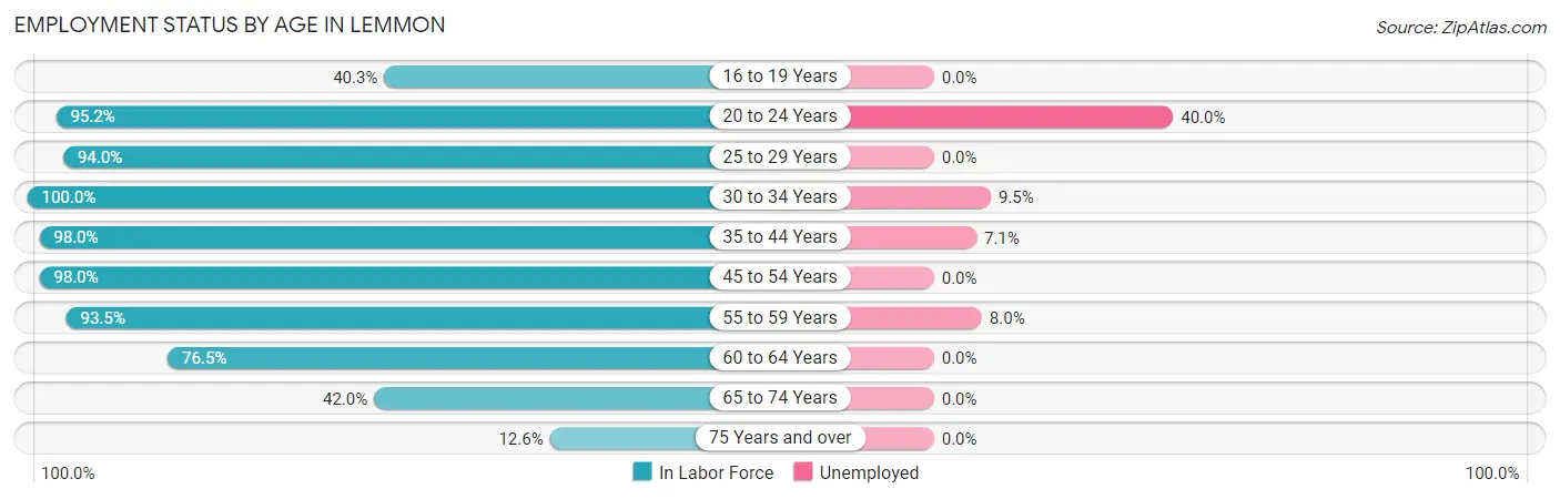 Employment Status by Age in Lemmon