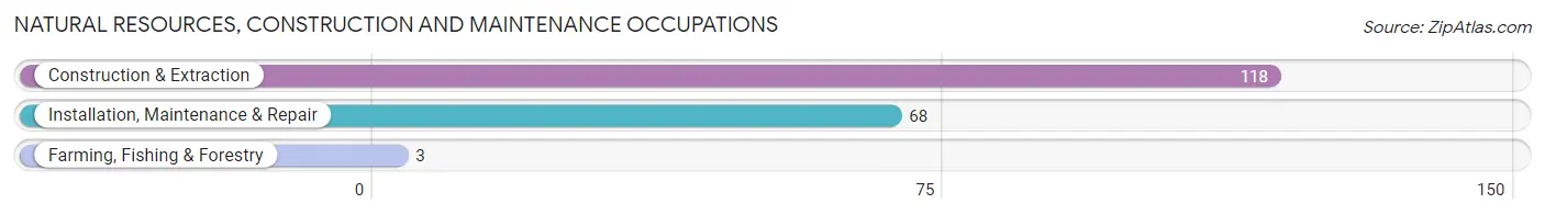 Natural Resources, Construction and Maintenance Occupations in Lennox