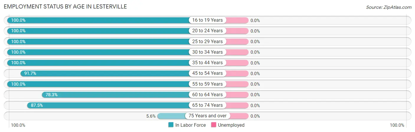 Employment Status by Age in Lesterville