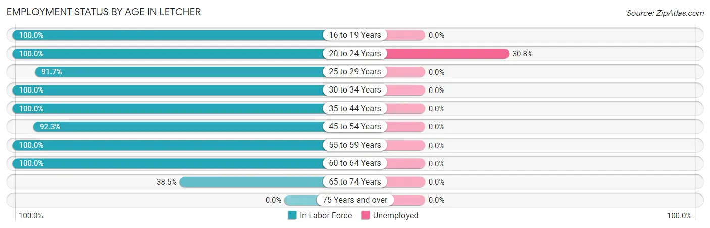 Employment Status by Age in Letcher