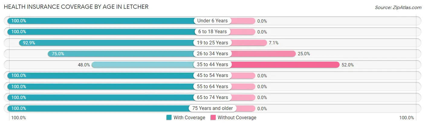 Health Insurance Coverage by Age in Letcher