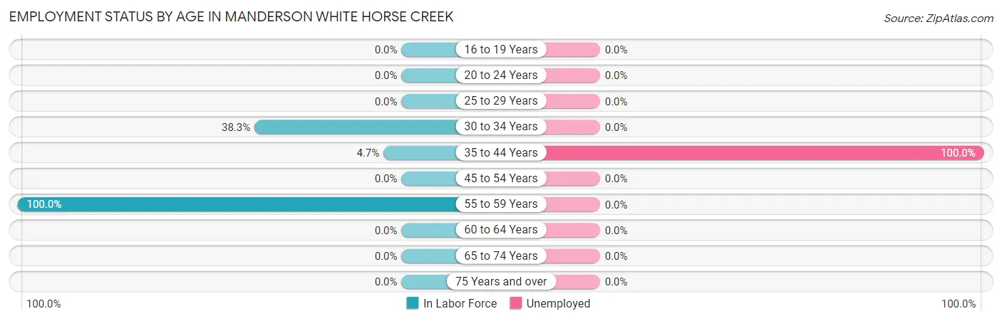 Employment Status by Age in Manderson White Horse Creek