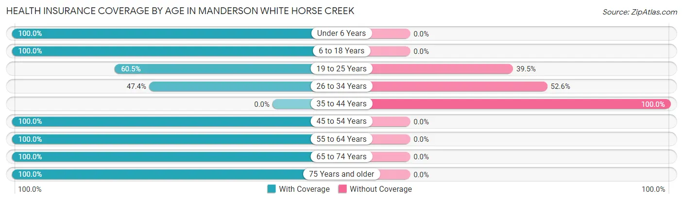 Health Insurance Coverage by Age in Manderson White Horse Creek