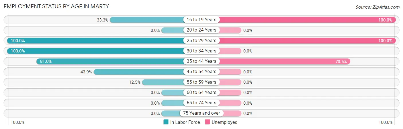Employment Status by Age in Marty