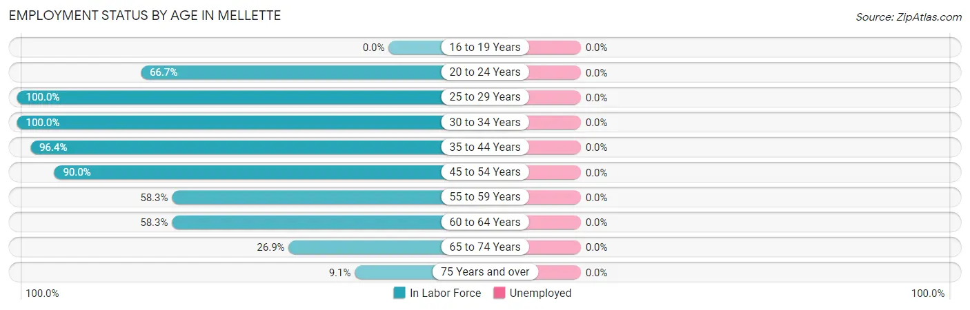Employment Status by Age in Mellette