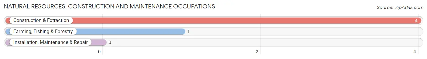 Natural Resources, Construction and Maintenance Occupations in Mellette