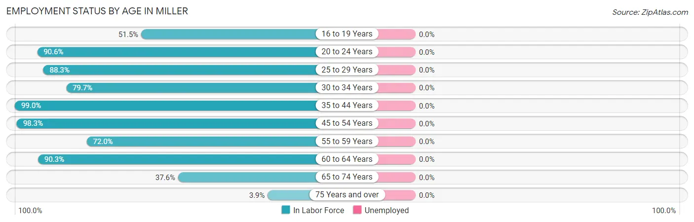 Employment Status by Age in Miller