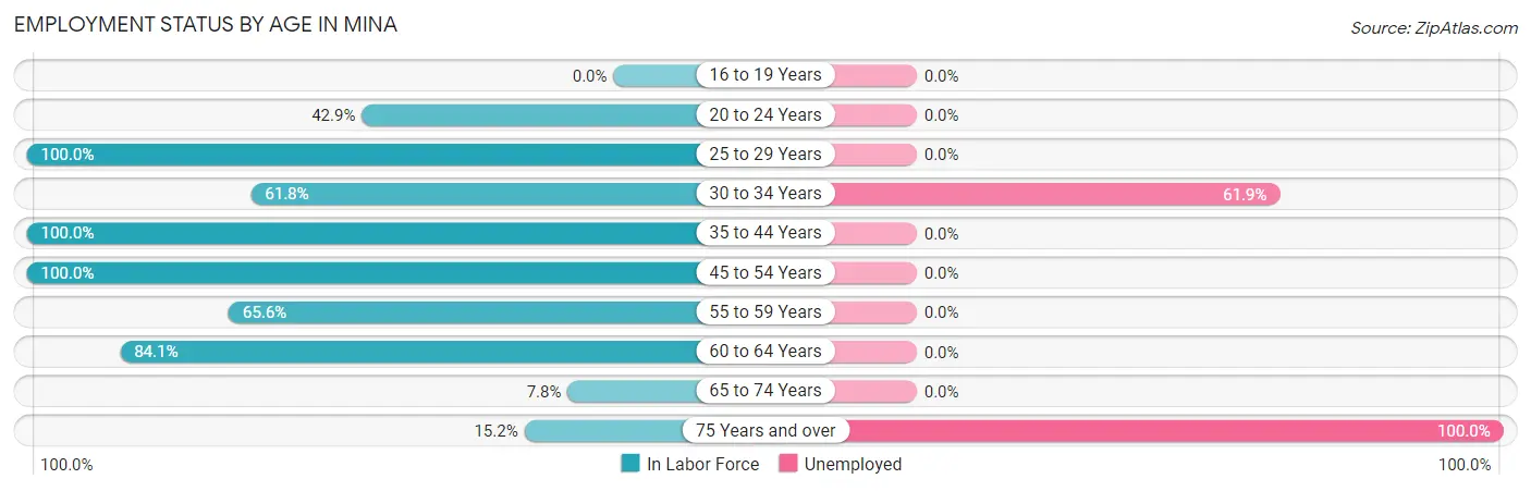 Employment Status by Age in Mina