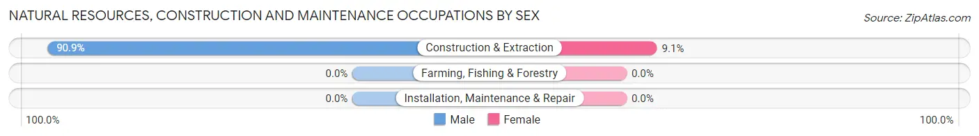Natural Resources, Construction and Maintenance Occupations by Sex in Mission Hill