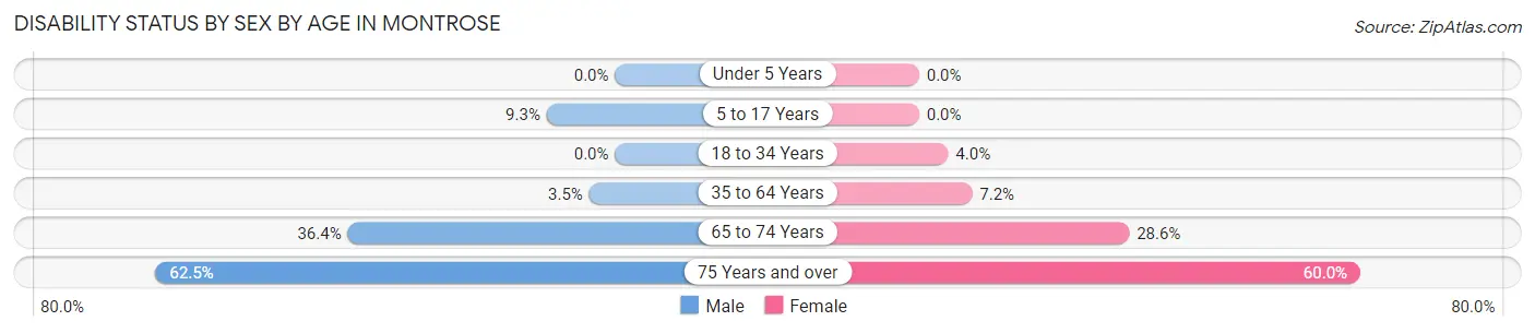 Disability Status by Sex by Age in Montrose