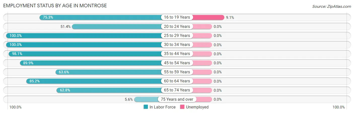 Employment Status by Age in Montrose