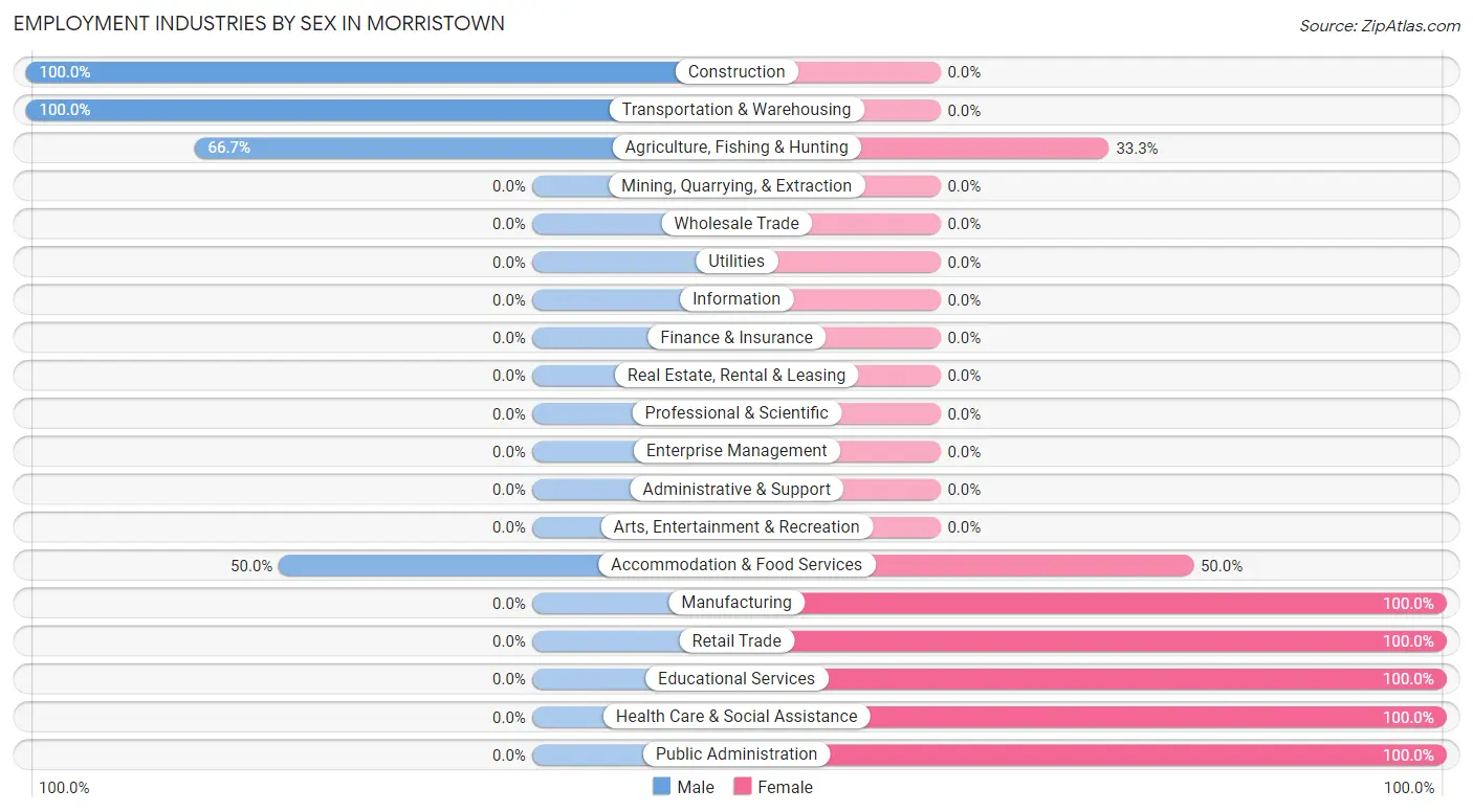 Employment Industries by Sex in Morristown