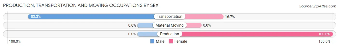 Production, Transportation and Moving Occupations by Sex in Morristown