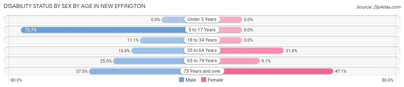Disability Status by Sex by Age in New Effington