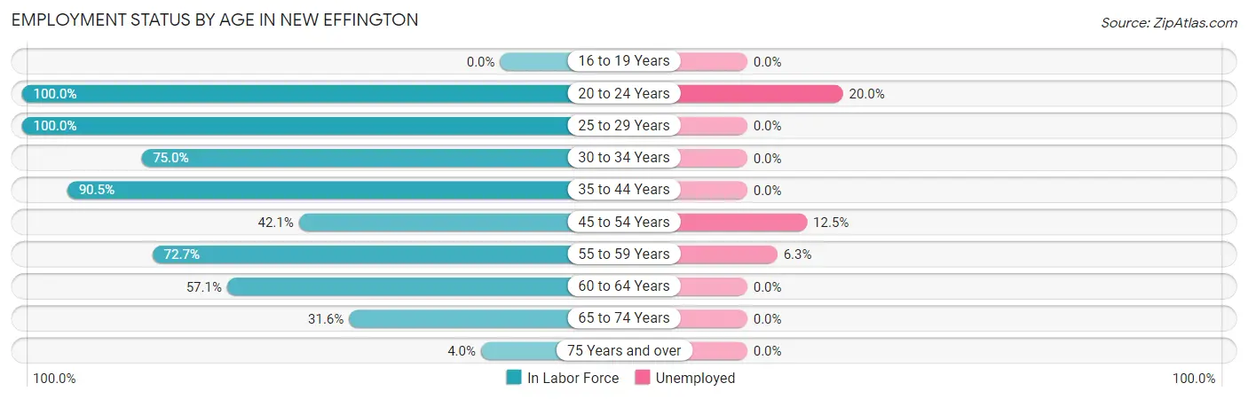 Employment Status by Age in New Effington