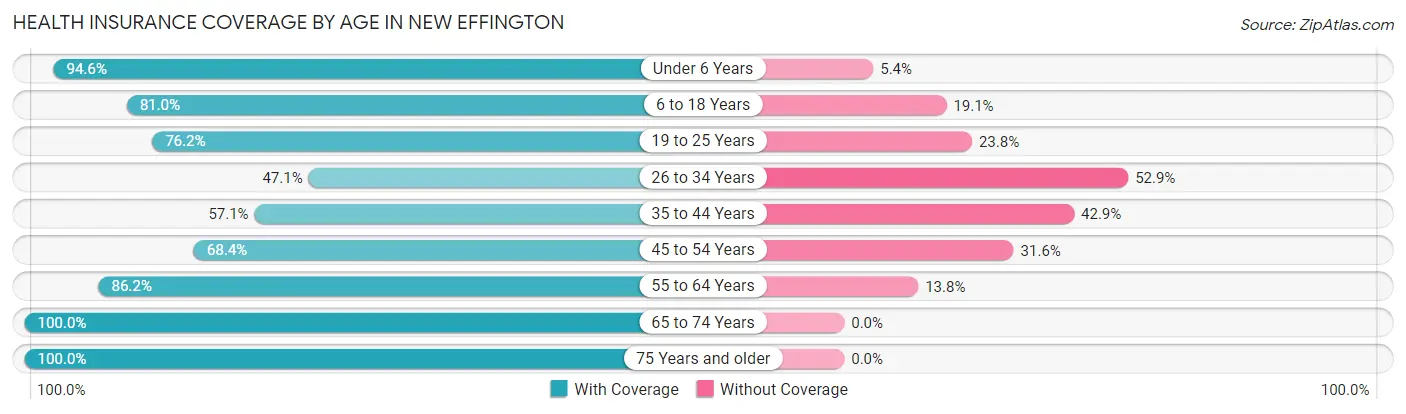 Health Insurance Coverage by Age in New Effington