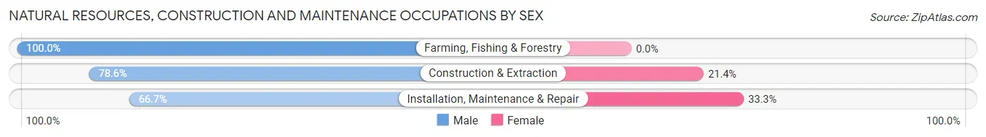 Natural Resources, Construction and Maintenance Occupations by Sex in New Underwood