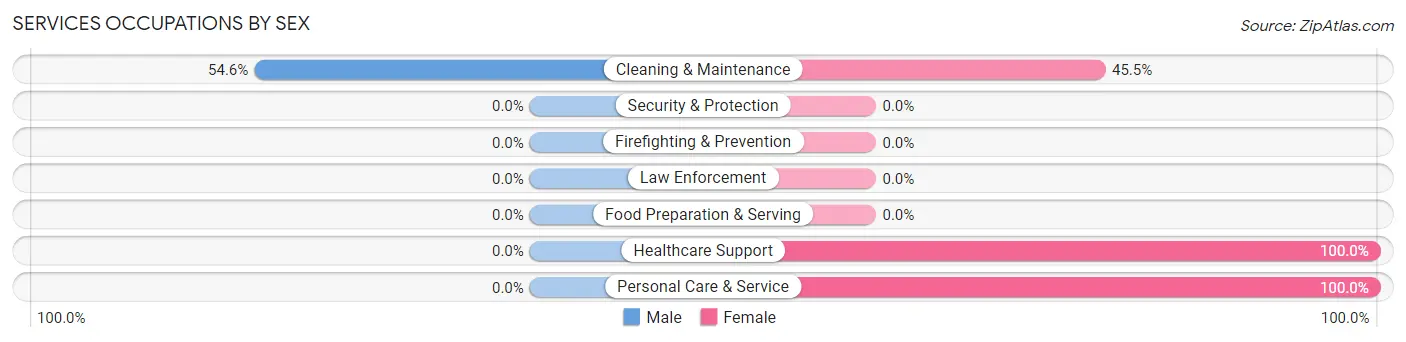 Services Occupations by Sex in New Underwood