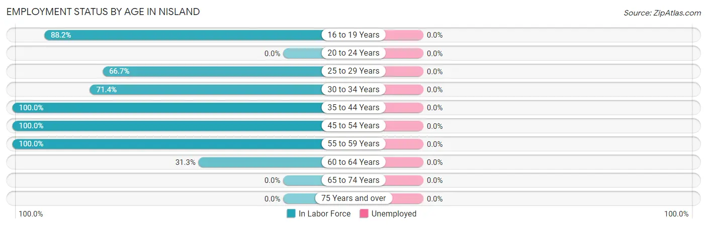 Employment Status by Age in Nisland