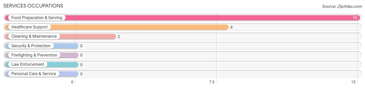 Services Occupations in Nisland