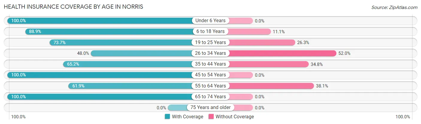 Health Insurance Coverage by Age in Norris