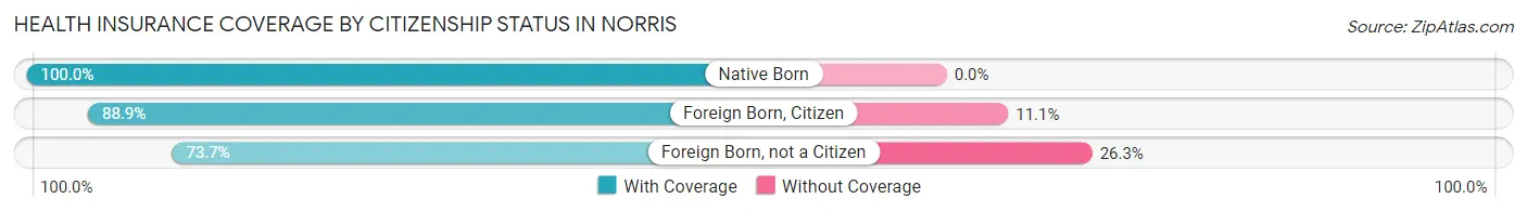 Health Insurance Coverage by Citizenship Status in Norris