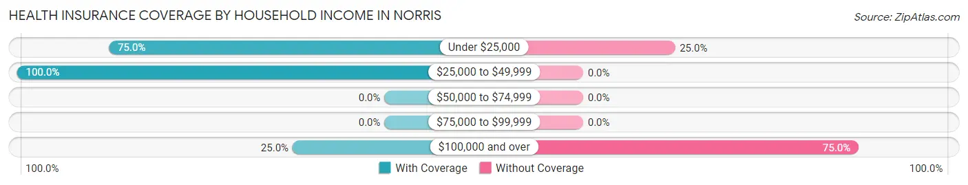 Health Insurance Coverage by Household Income in Norris