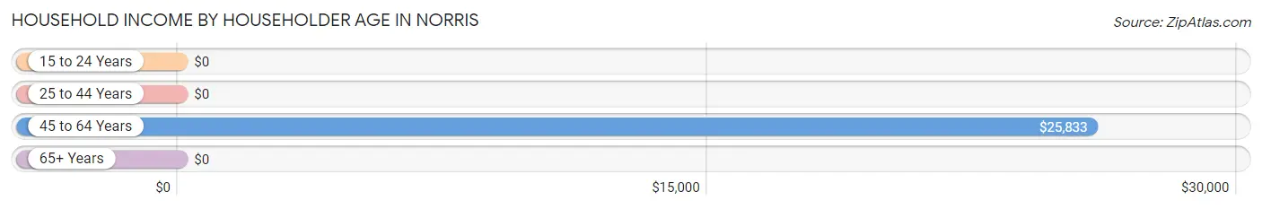 Household Income by Householder Age in Norris