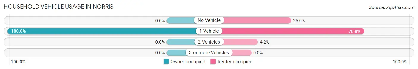 Household Vehicle Usage in Norris