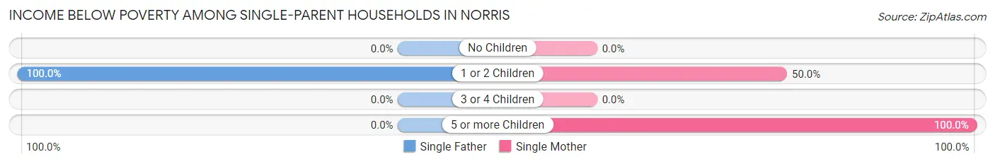 Income Below Poverty Among Single-Parent Households in Norris