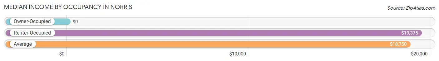 Median Income by Occupancy in Norris