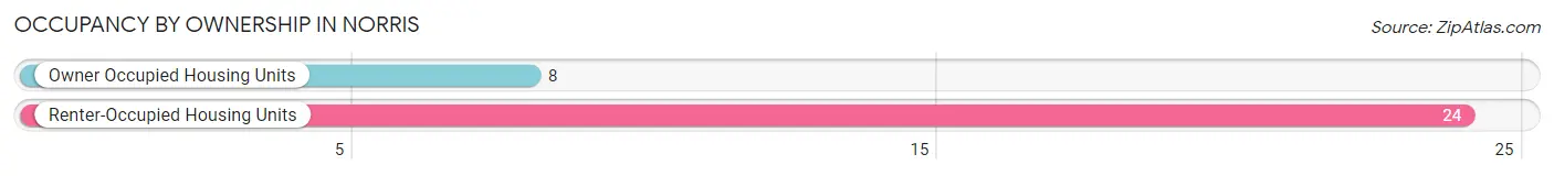 Occupancy by Ownership in Norris