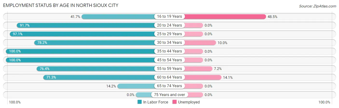 Employment Status by Age in North Sioux City
